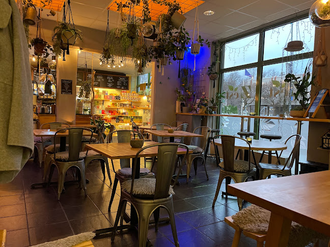 Comments and reviews of Zest - Karlstads Gröna Oas