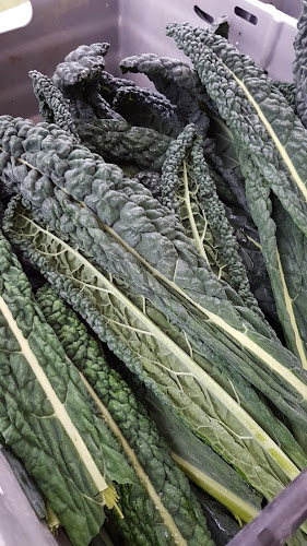 Jannelunds Gård Open Times