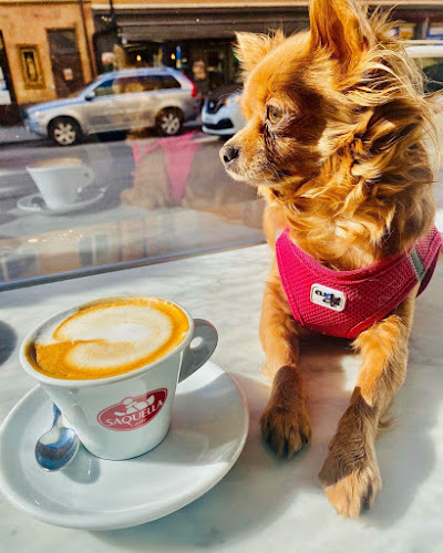 Opinii despre Poli Caffé în Stockholm - Gastronomi och hotellverksamhet