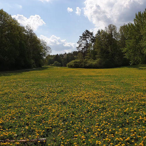 Gateau Södra Ängby
