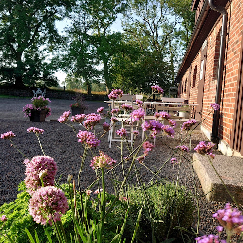 Stallkaféet Open Times