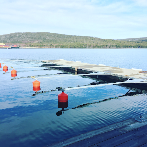 Comentarii opinii despre Kajkanten Restaurang B&B