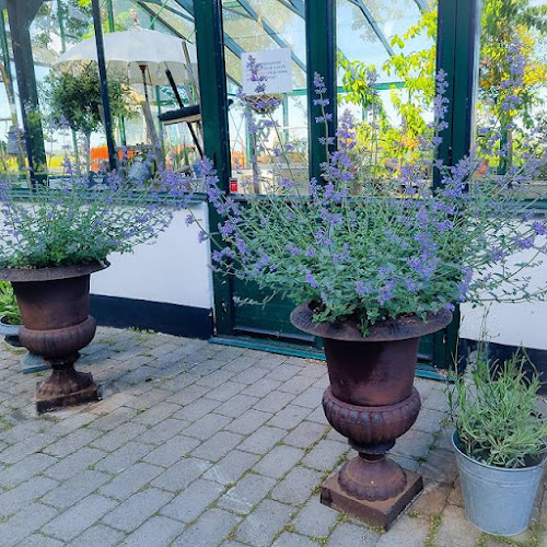 Comments and reviews of Österlenkryddor