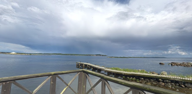 Comentarii opinii despre TREDENBORG & TREDENBORGSUDDEN