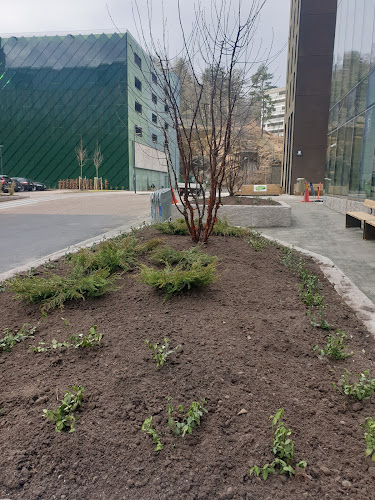 Comments and reviews of Suzi Cafe