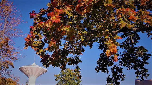 Svampen Skybar - Gastronomi och hotellverksamhet