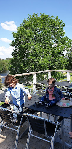 Comentarii opinii despre Gröna Hästen