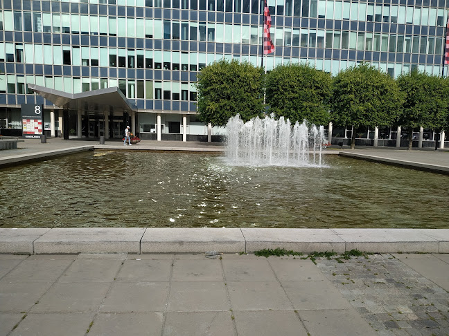 Opinii despre Tasters International AB în Västerås - Gastronomi och hotellverksamhet