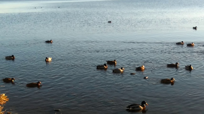 Gamla Pumphuset Karlskoga