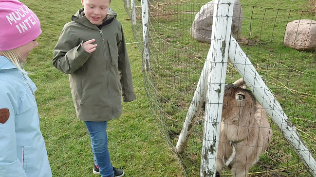 Hallongården - Gastronomi och hotellverksamhet