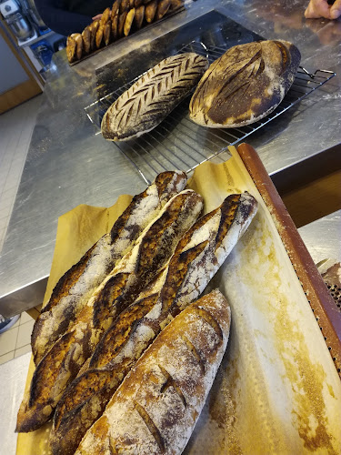 Comentarii opinii despre Martin & Servera AB