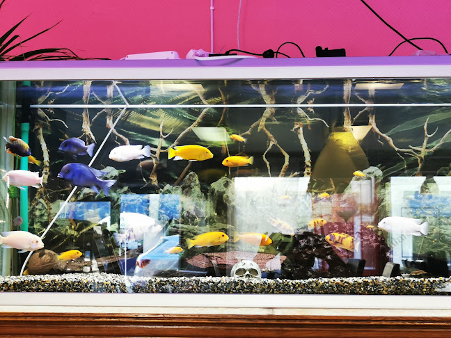 Storgatan 19, 666 30 Bengtsfors, Sverige