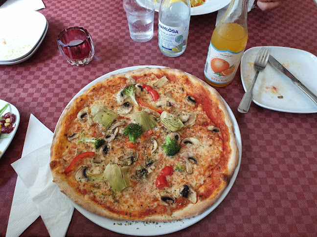 Comentarii opinii despre Mr Tomato backaplan