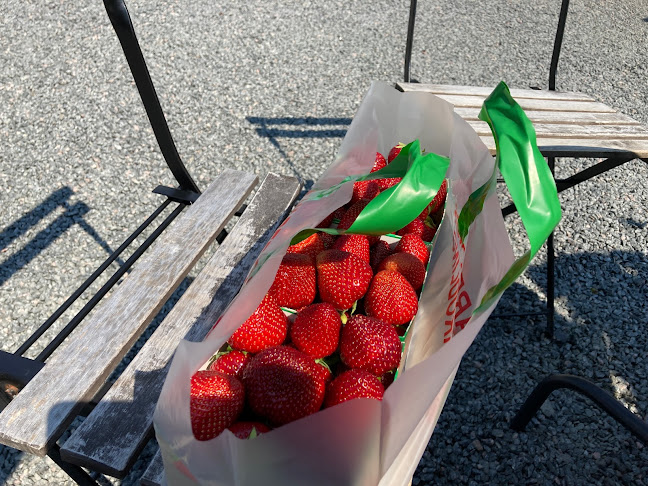 VAREBORG 3, 432 91 Varberg