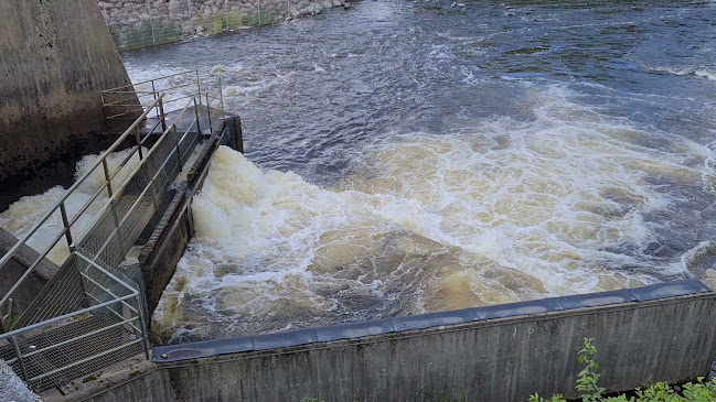 Restaurang Kungsådran - Gastronomi och hotellverksamhet