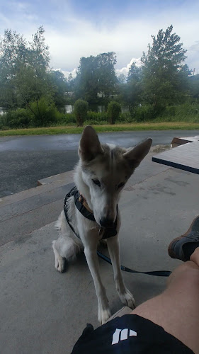 Aqua Vinetto, Holger Lindmarks plats 2, 633 42 Eskilstuna