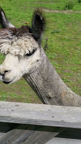 LUNÅN 113, 791 92 Falun