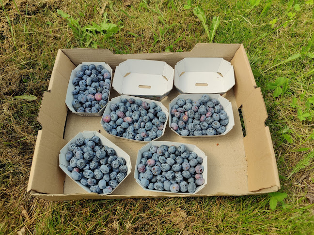 Eriksgården - restaurang och gårdsbutik