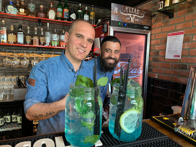 Texas Longhorn Hornsbergs Strand - Stockholm