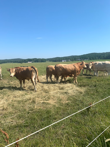 Comentarii opinii despre Högens Gård AB