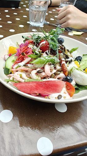 Comentarii opinii despre RÅG