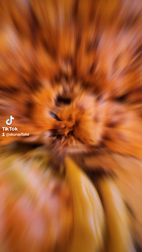 Skurups Falafel och Grill Open Times