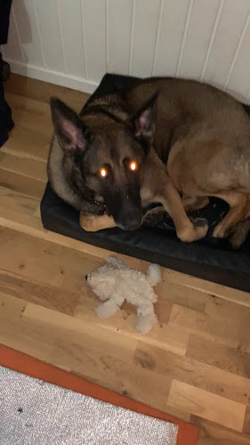 Kanyas Thairestaurang (DALS-ED)