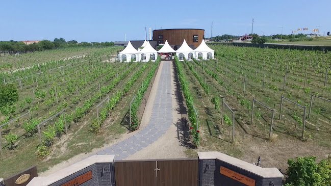 Nordic Sea Winery | Showroom | Restaurant | Winebar