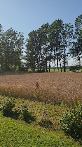 Vareborgs Bärodling AB - Varberg