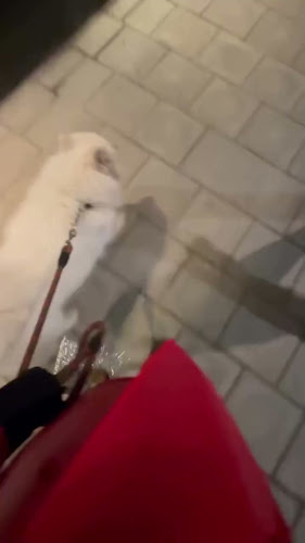 Reviews of Nyko Kitchen in Stockholm - Gastronomi och hotellverksamhet