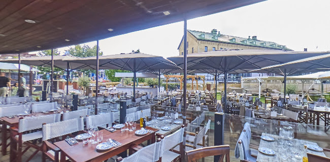 Comentarii opinii despre Papas