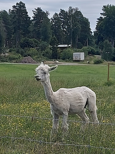 Ängby Gårdsbutik och Café - Gastronomi och hotellverksamhet