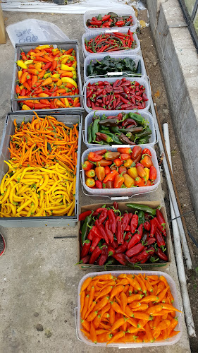 Holy Smoke BBQ - Nyhamnsläge