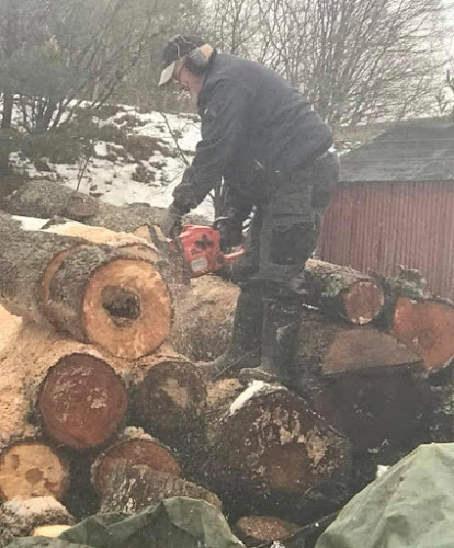 Femöre Rökeri - Gastronomi och hotellverksamhet