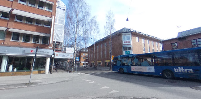 Restaurang Alsham i Umeå - Umeå