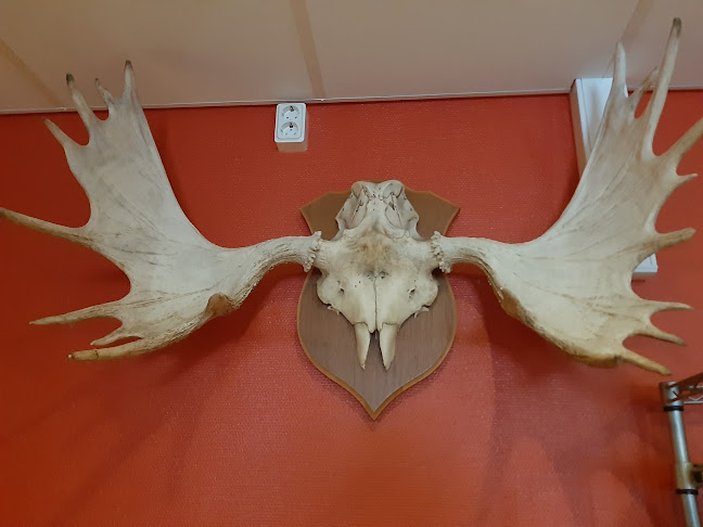 Ibbes Pizzeria - Gastronomi och hotellverksamhet