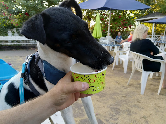 Comentarii opinii despre Beddingeglassen