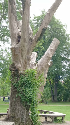 Munkgatan 3, C, 753 09 Uppsala