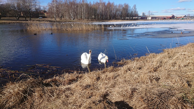 LB Pizzeria - Gastronomi och hotellverksamhet