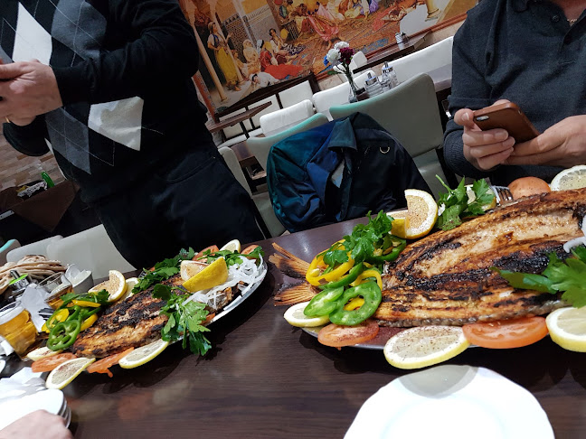 Comentarii opinii despre Al Basha Kolgrill