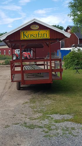 Comentarii opinii despre Väddö Gårdsmejeri - Gårdsbutik & Café