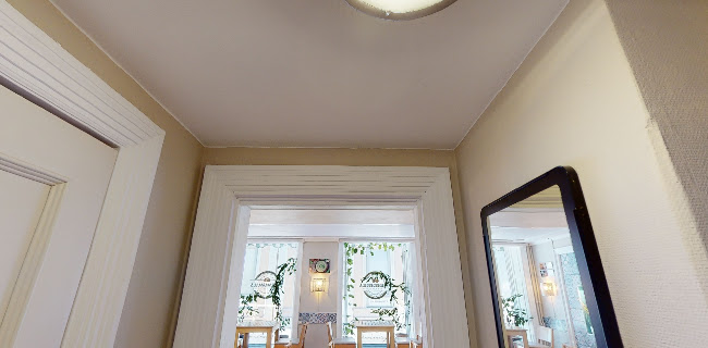 Mummus / Hummus & more - Gastronomi och hotellverksamhet