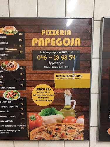 Opinii despre Pizzeria Papegoja în Lund - Gastronomi och hotellverksamhet