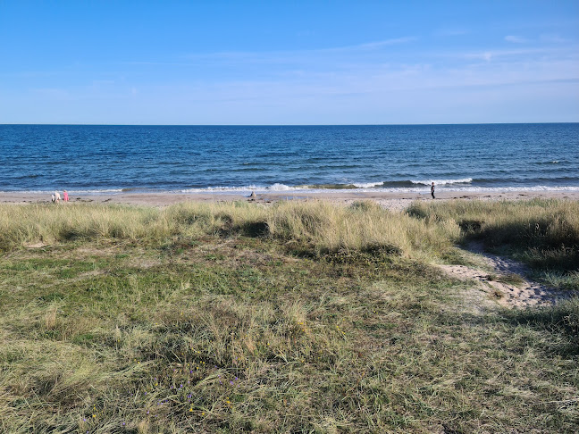 Mossbystrands Kiosk - Gastronomi och hotellverksamhet