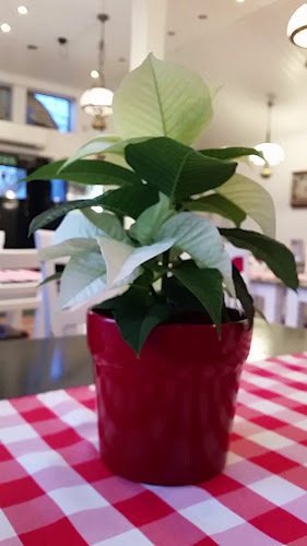 Opinii despre Restaurang & Vedugnspizza,Grill în Vaxholm - Gastronomi och hotellverksamhet