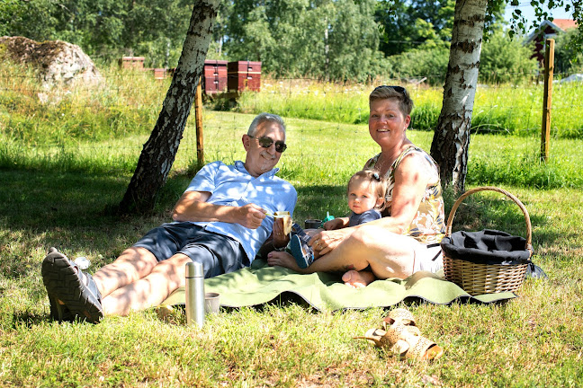 Comentarii opinii despre Sörgården Måla