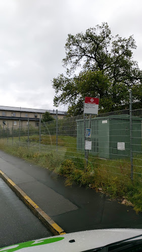 Comentarii opinii despre Grönsakskompaniet