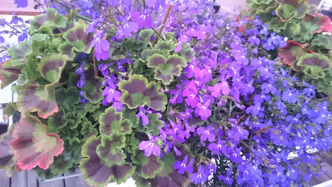 Backgatan 5, 972 42 Luleå