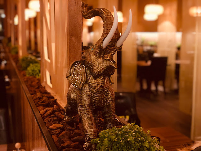 Linnea & Basilika Höganäs Open Times