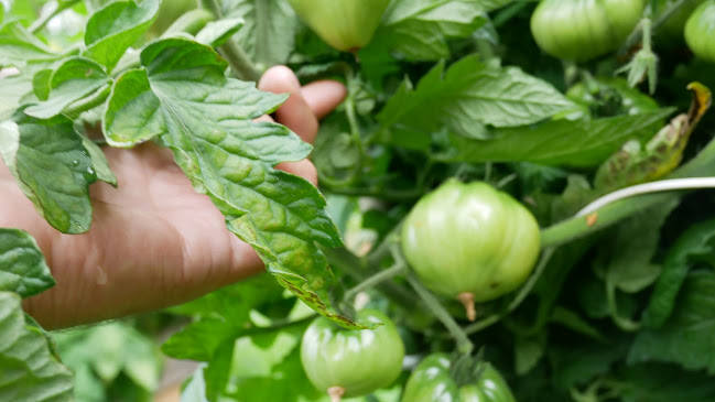 Opinii despre Friluftsfrämjandet Smörnäs Friluftsgård în Gävle - Gastronomi och hotellverksamhet